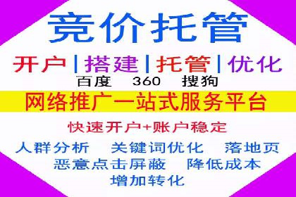 SEM服务公司助力品牌崛起案例